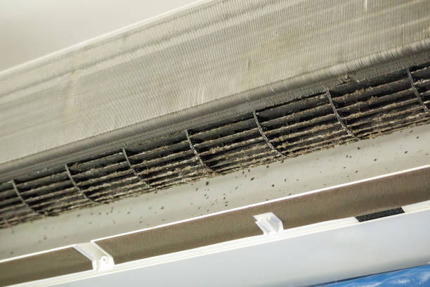 Best Air Duct Cleaning Near Me  in Pleasant Hill, OH